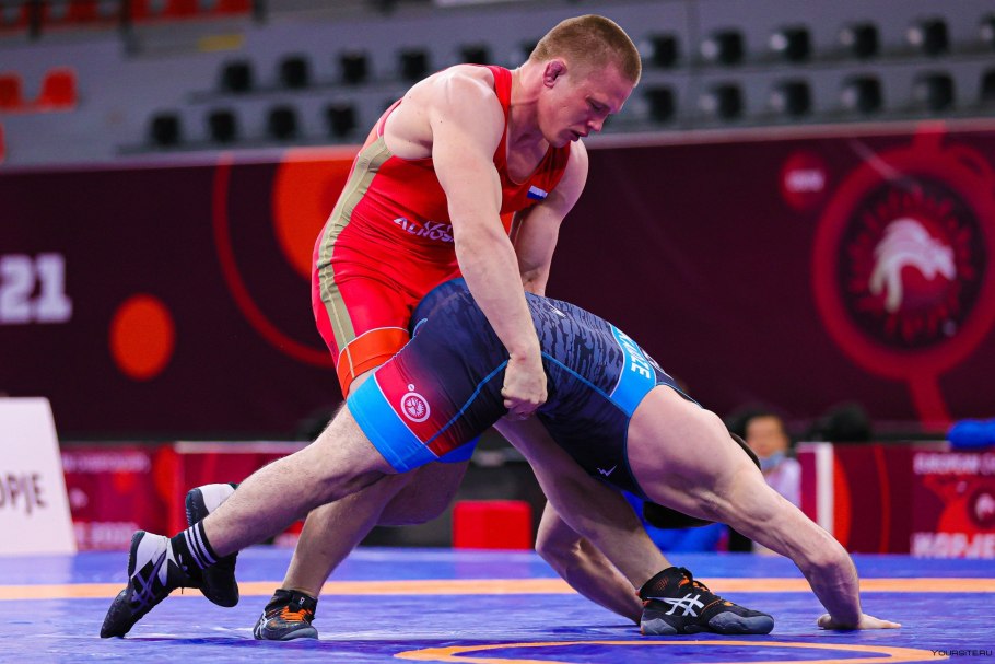 Аконит клобучковый корни