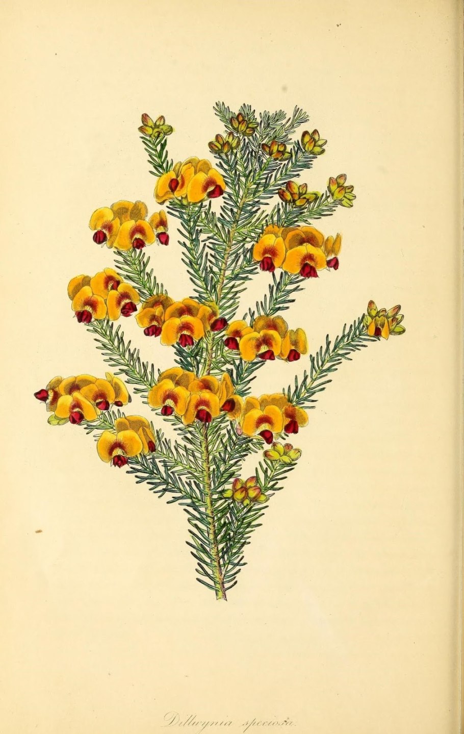 Электросхема автоматики Будерус 2107