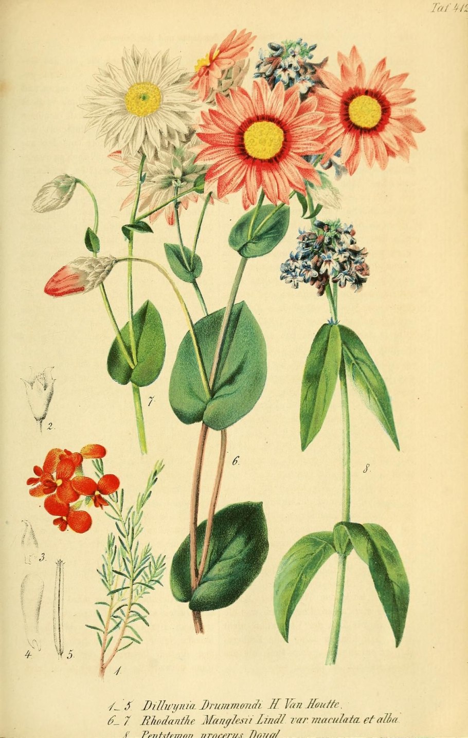 Ботанический атлас джейн лаудон