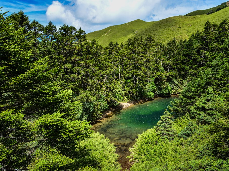 Президент Тайваня сейчас