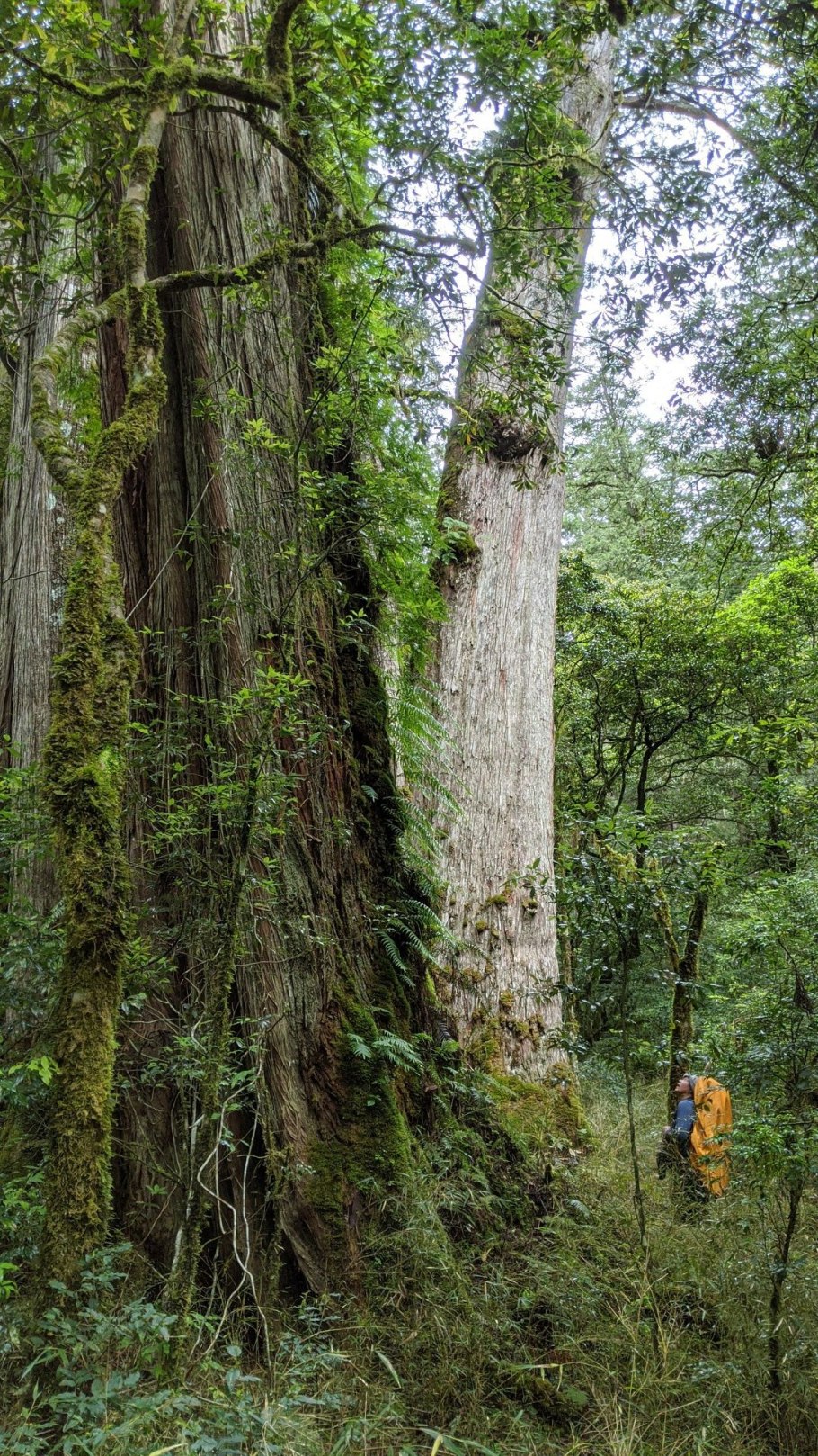 Чан Кайши Тайвань