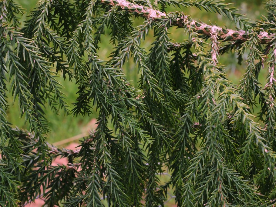 Река чжошуйци Тайвань