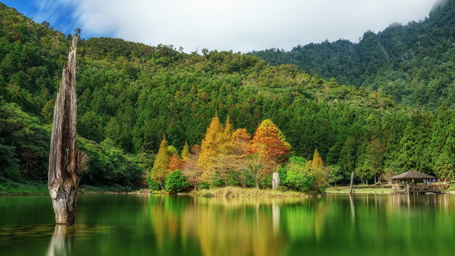 Алишаньская Лесная железная дорога