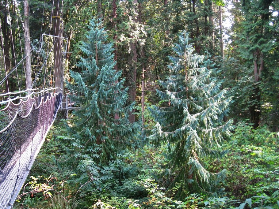 Тайвань (провинция китайской народной Республики)