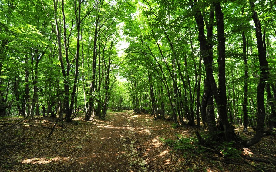 Мыс Айя Крым