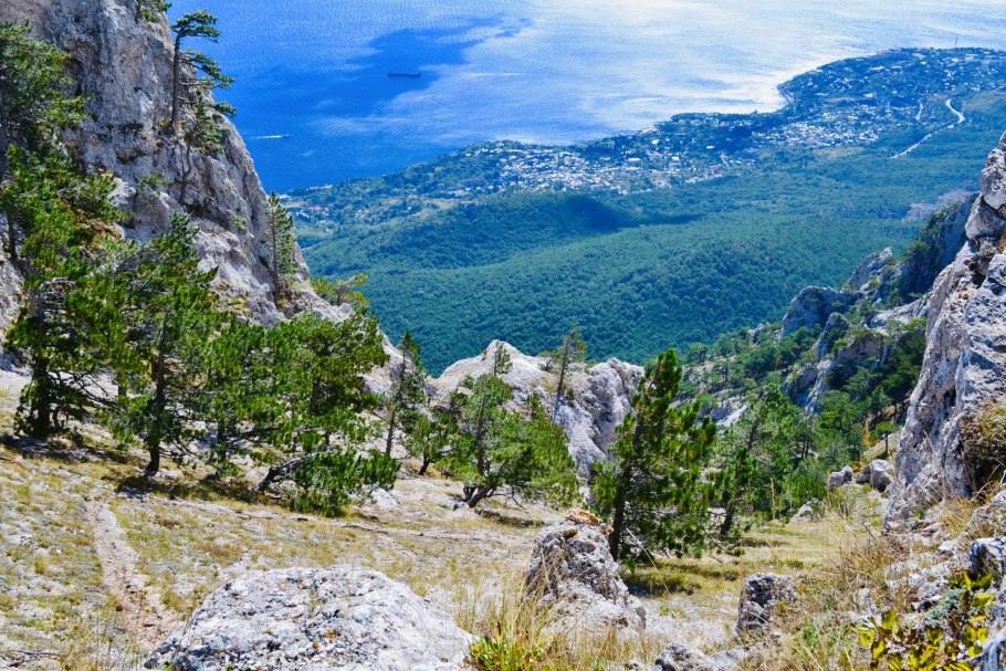 Крымский лес Крымский район