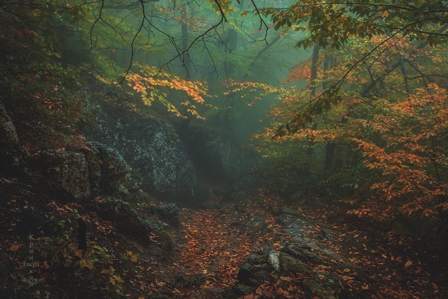 Осень в Крымском лесу