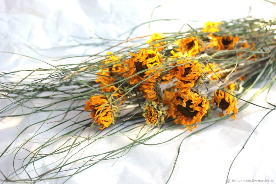 Нигелла Земляничная сухоцвет