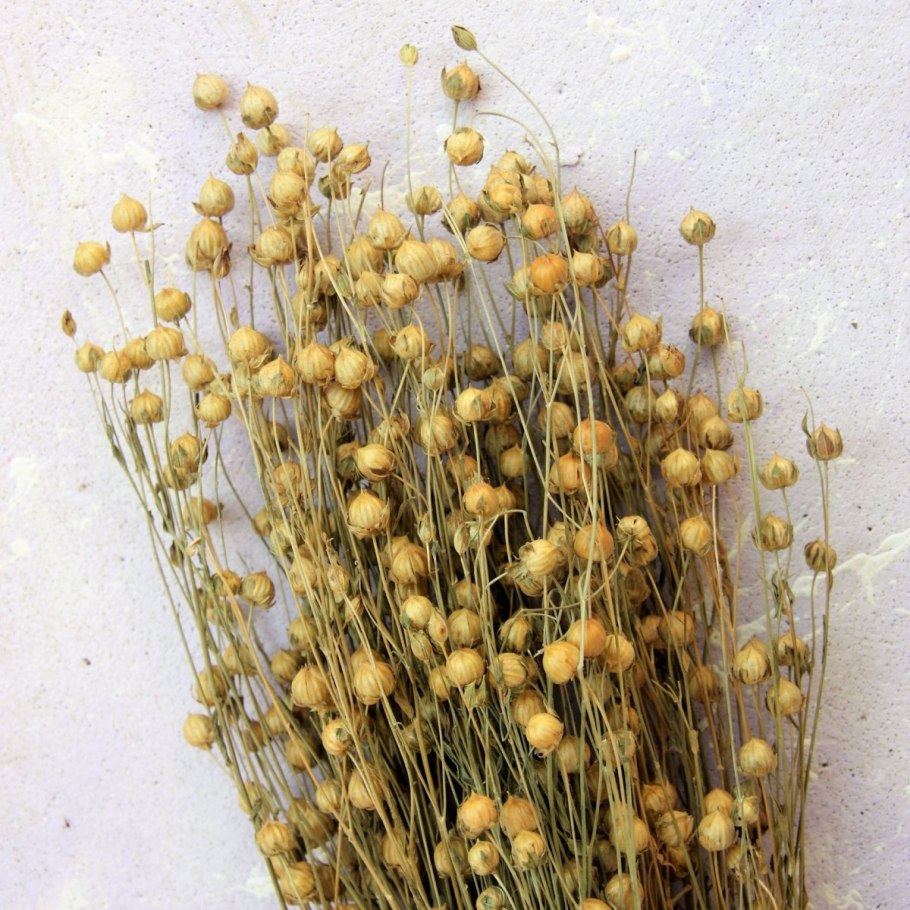 Лен натуральный сухоцвет