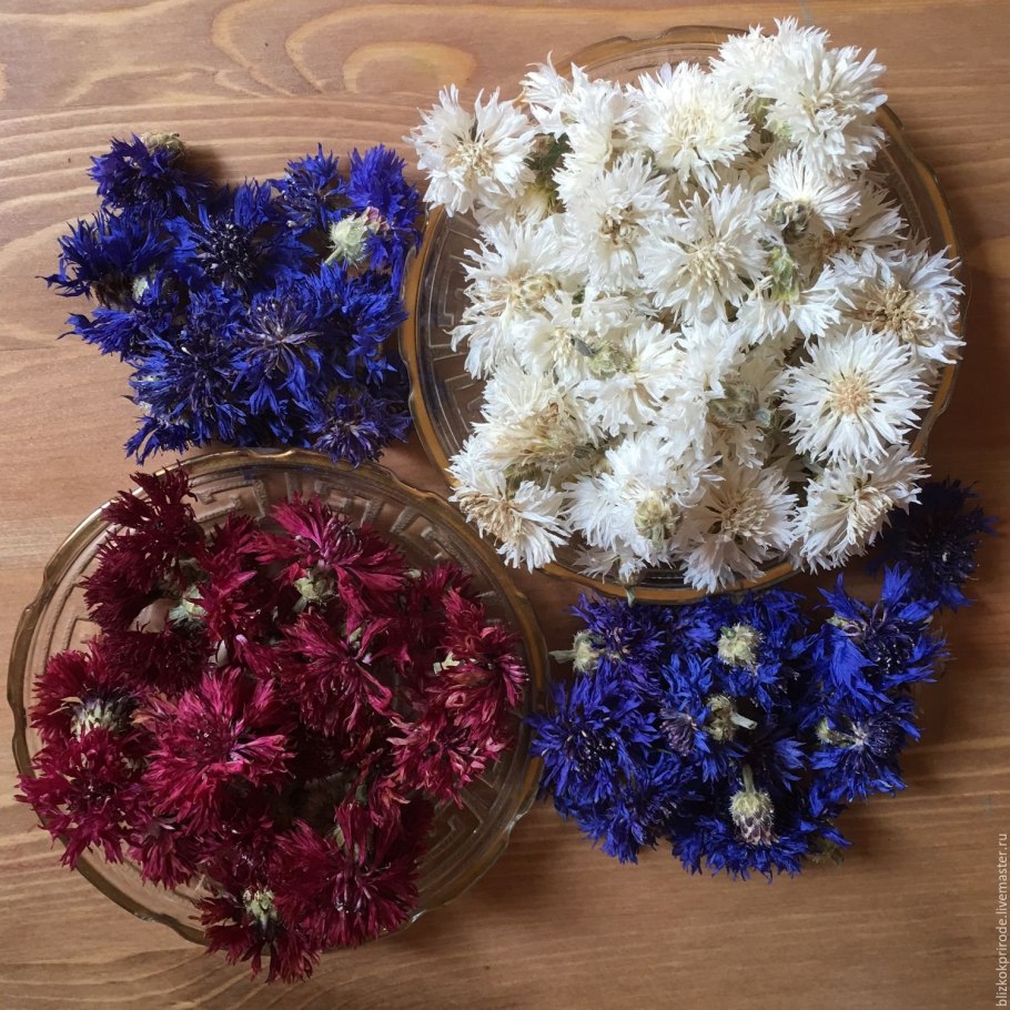 Амареллино сухоцвет