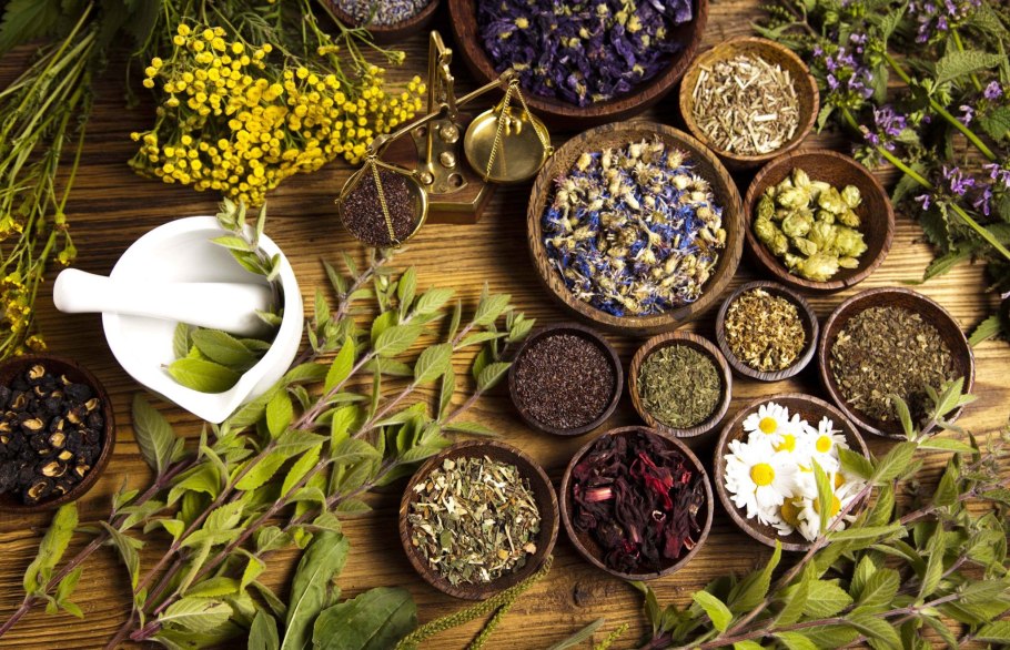 Лекарственные травы