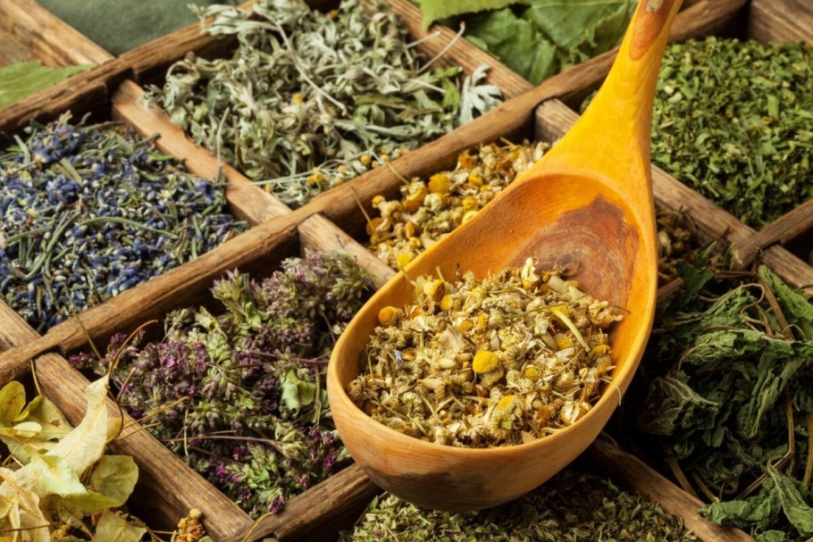 Целебные травы