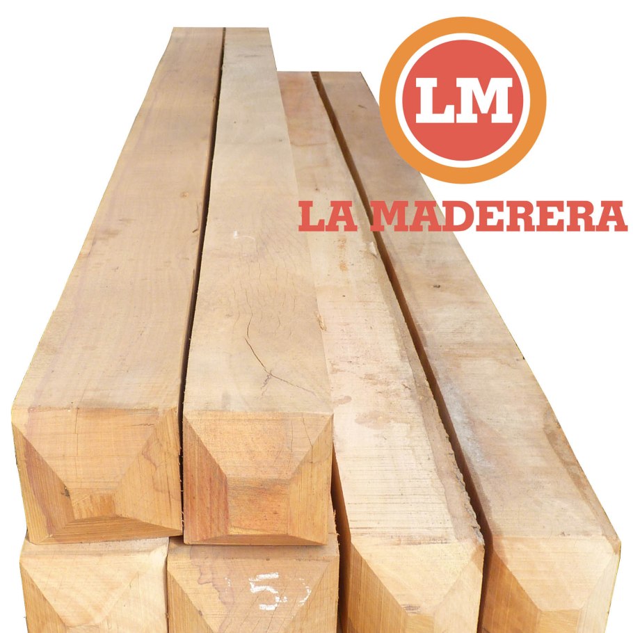 Аспидосперма растение