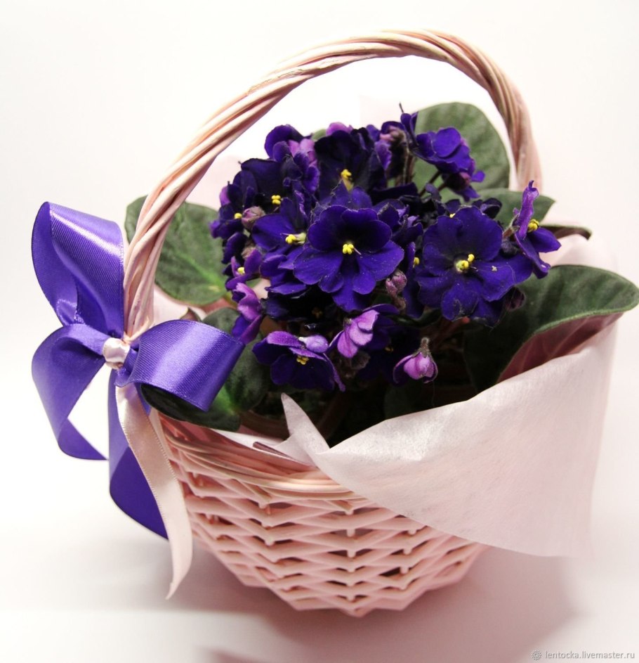 Фиалка rosie buket