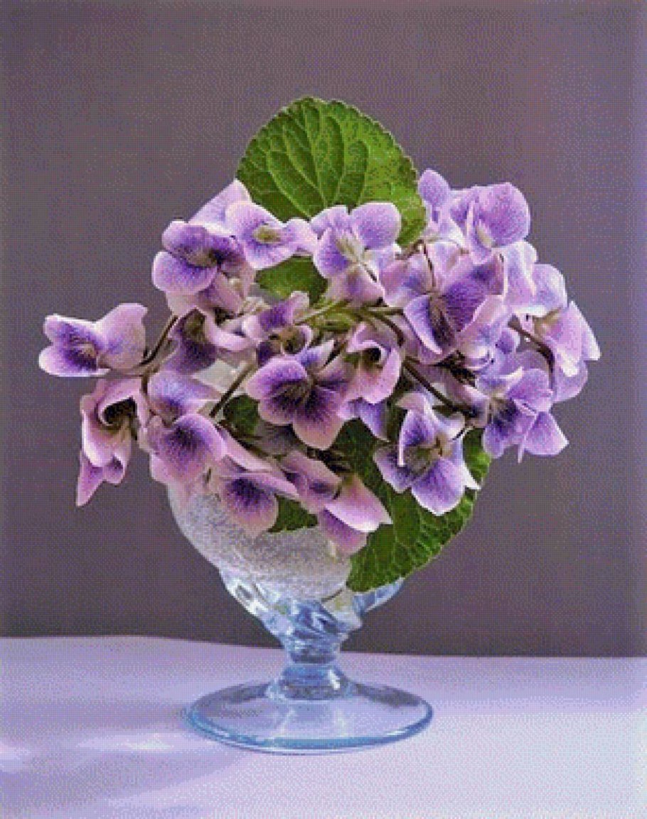 Лесные фиалки