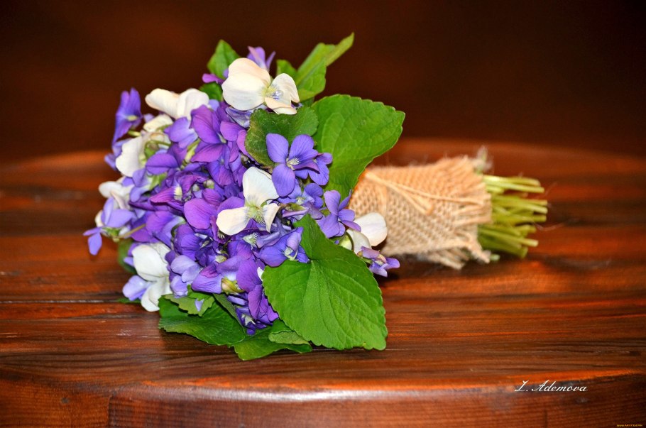 Красивый букет фиалок
