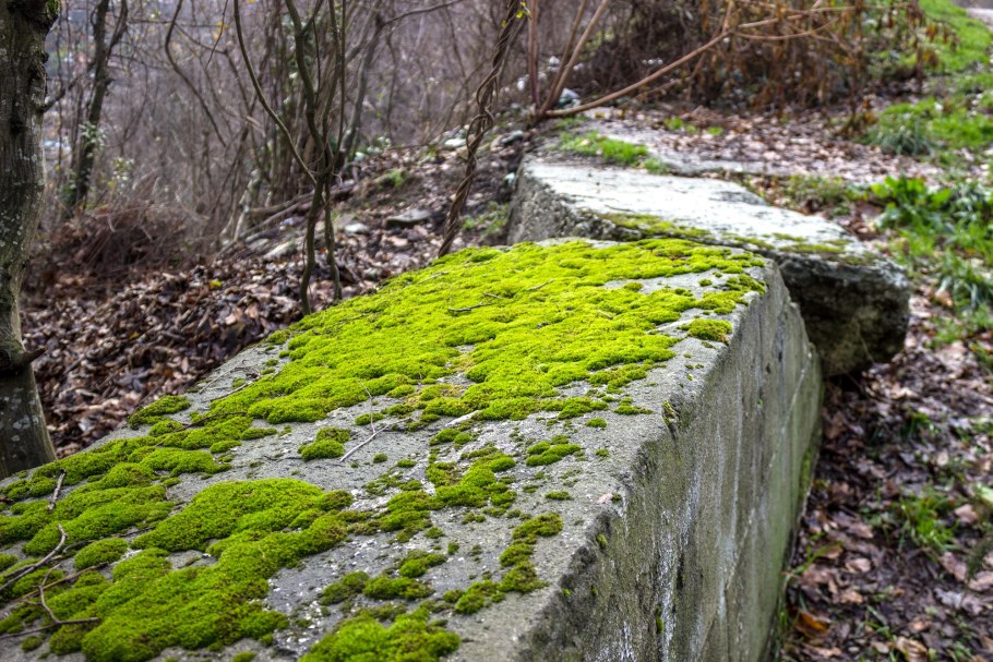 Каньон белые скалы Хоста