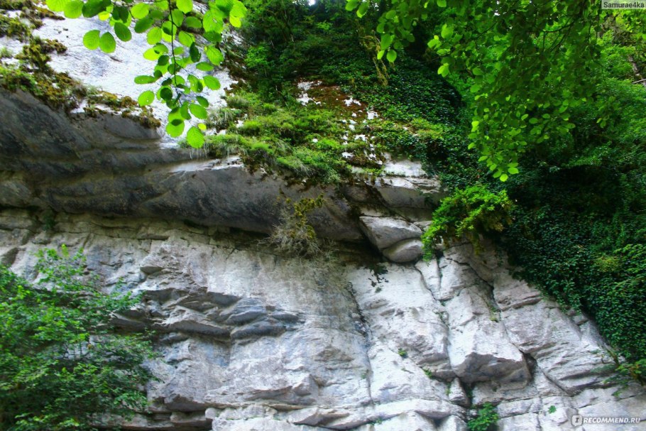 Самшитовое ущелье лазаревское