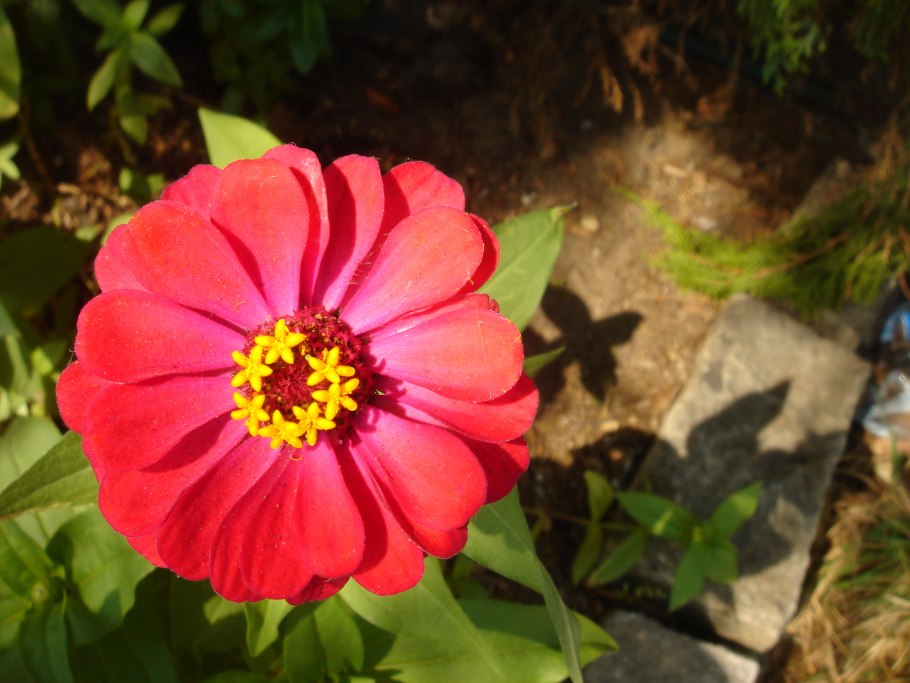 Костюм фантастическая четверка