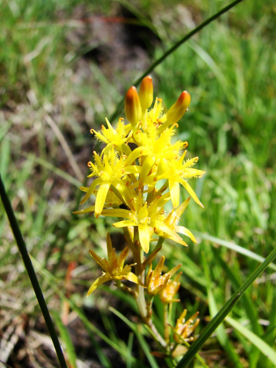 Эми Андерсон гиф