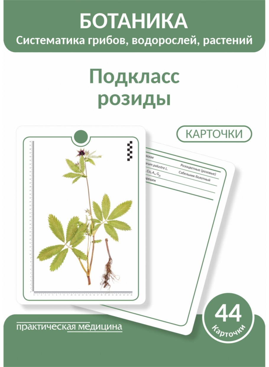 Розоцветные плодовые растения