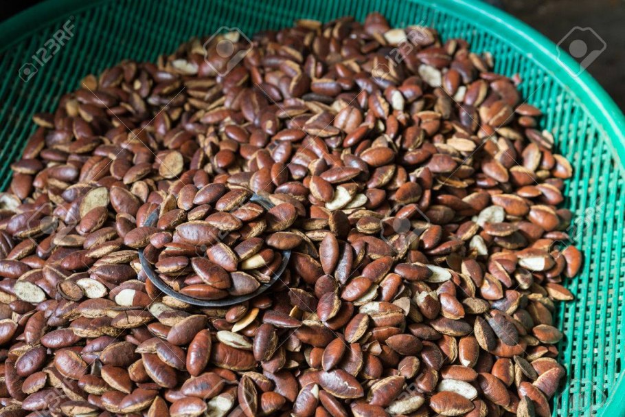 Ирвингия габонская