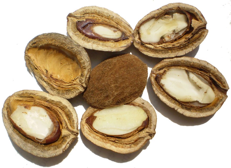 Ирвингия Габонская