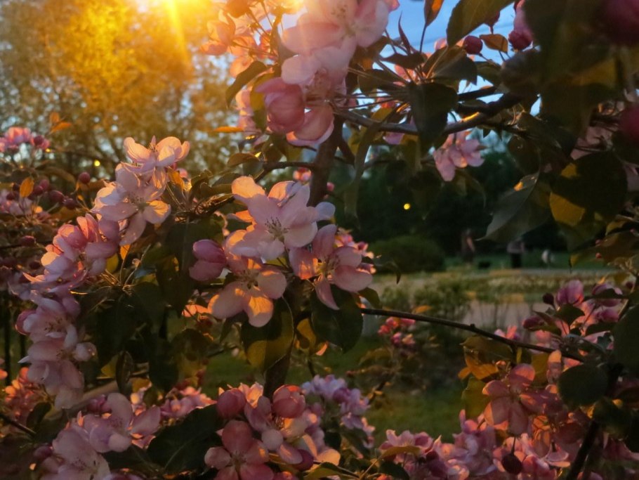 Весна вечер