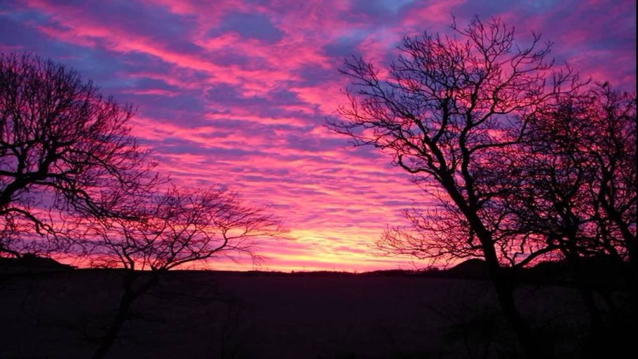 Вишневый закат