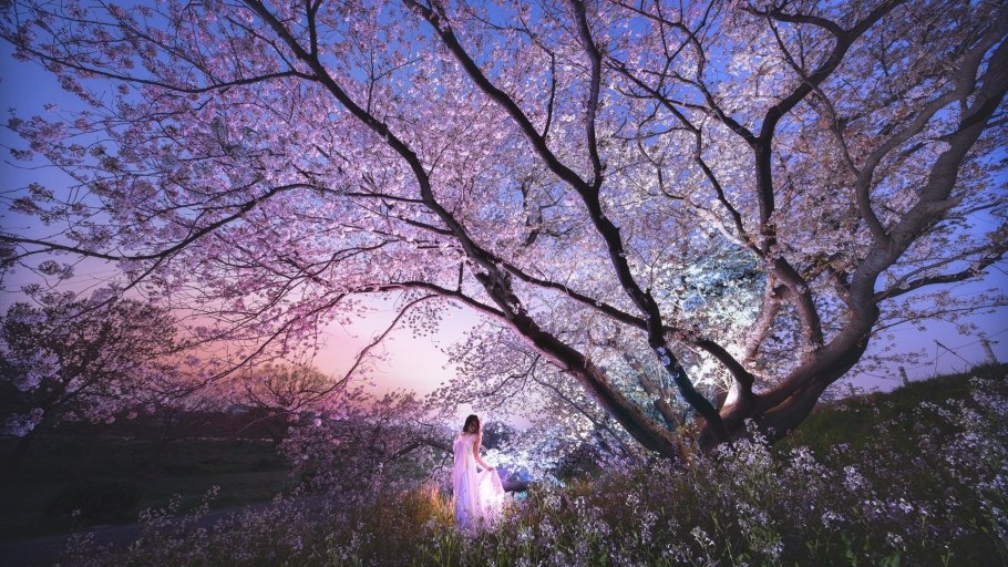 Весенняя ночь