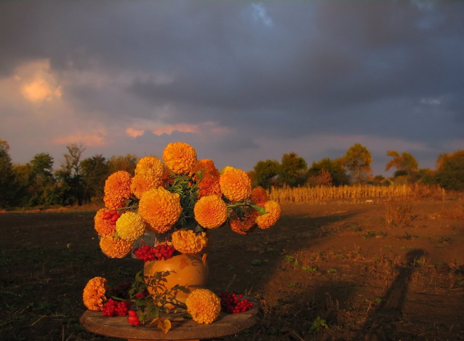 Осенние цветы в деревне