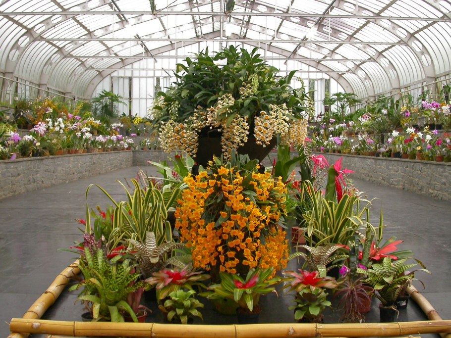 Оранжерея лонгвуд гарденс