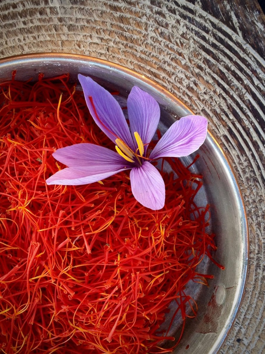 Императорский Шафран