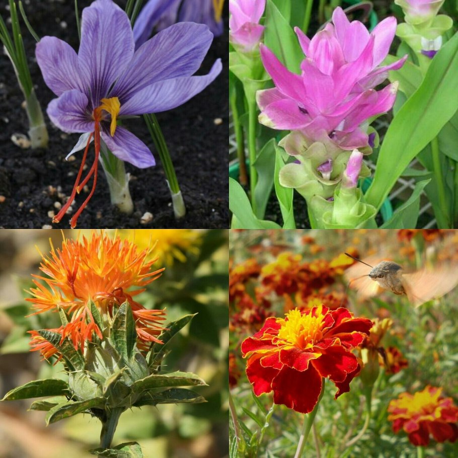 Акротири фреска цветы