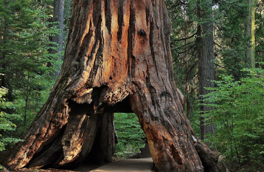 Долина смерти парк Секвойя