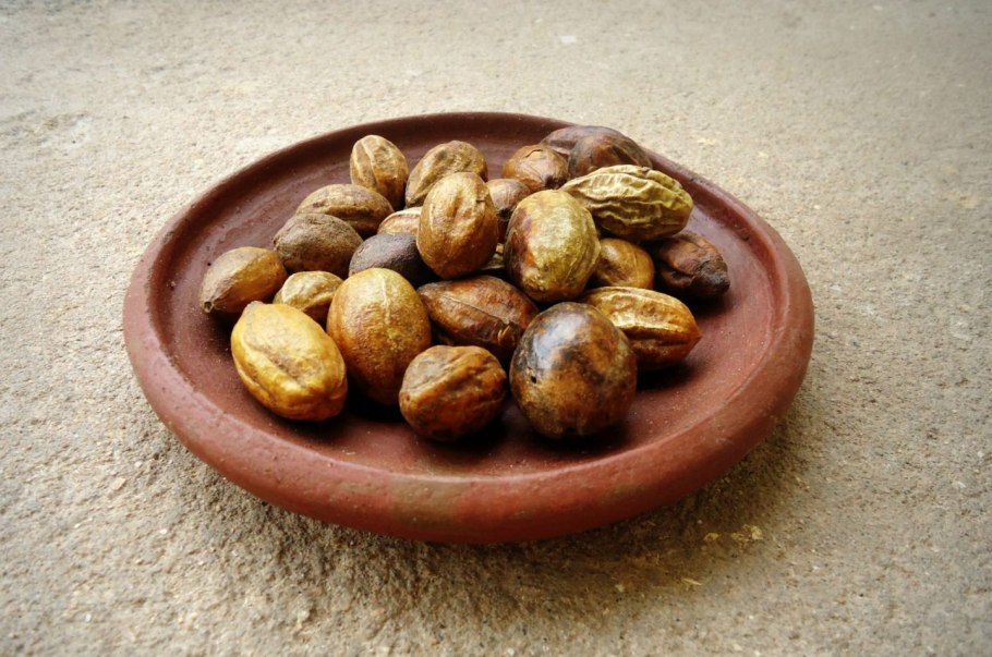 Харитаки бибхитаки