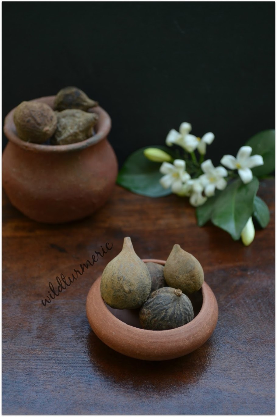 Terminalia belerica, Combretaceae (a) Bibhitaki, Beleric Myrobalan (с) бибхитаки