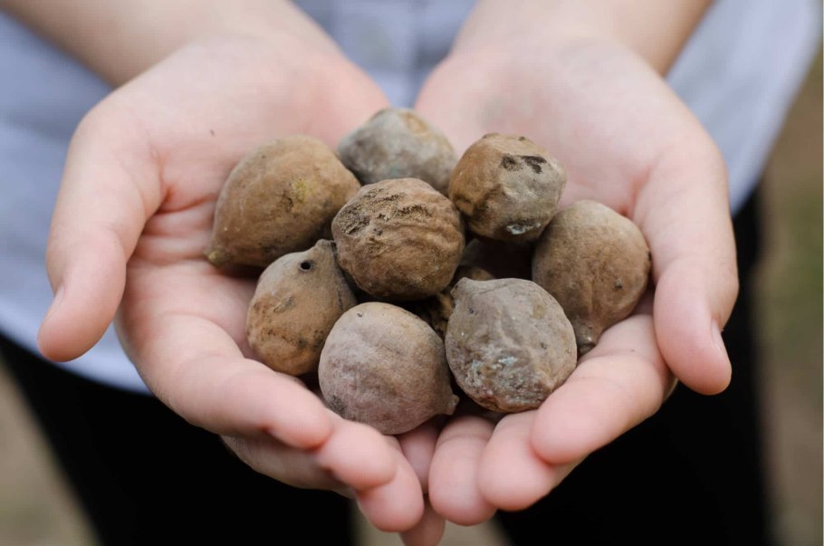 Бибхитаки устрашающая богиня фото картинки