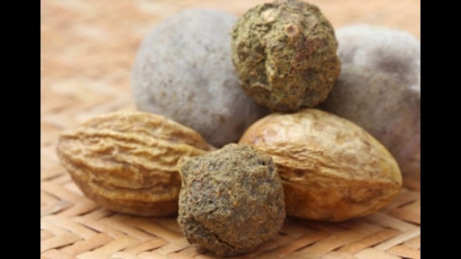 Бибхитаки (Terminalia bellerica)