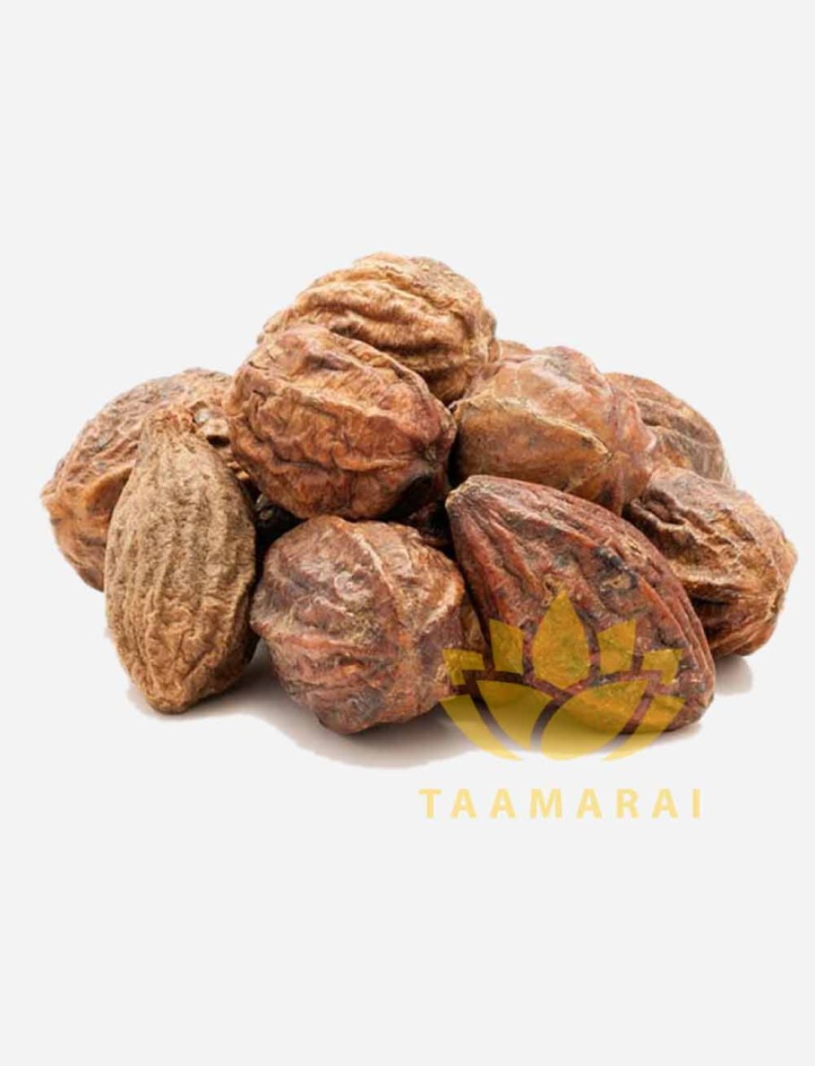 Харитаки (Terminalia chebula)