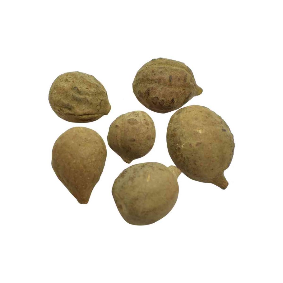 Зуфа семена