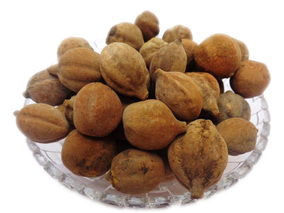 Бибхитаки (Terminalia bellerica)