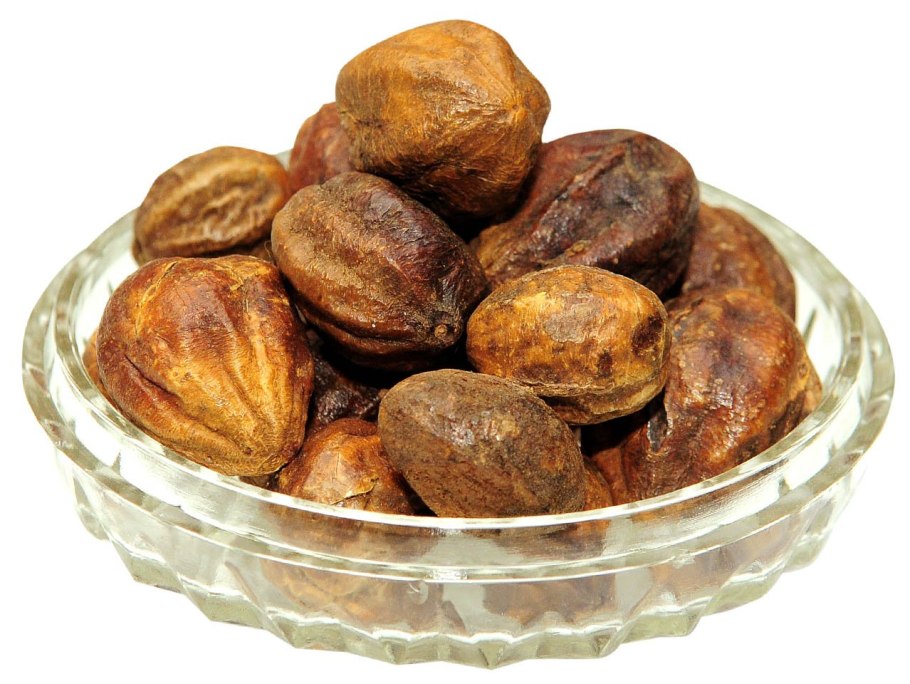 Харитаки (Terminalia chebula)