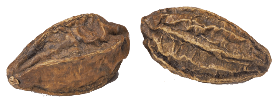 Бибхитаки (Terminalia bellirica)