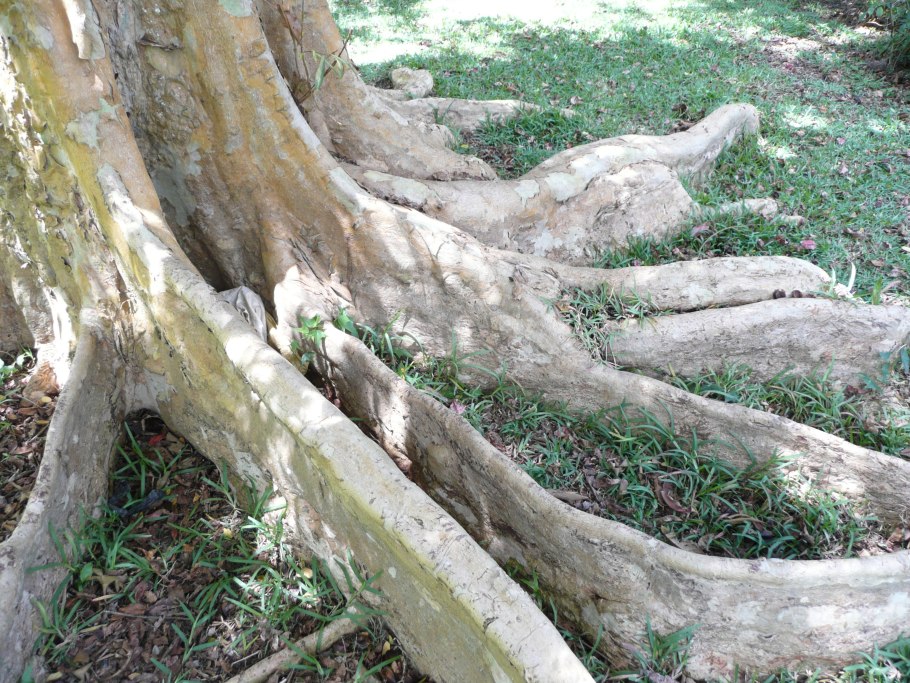 Арджуна сосредоточенность на цели