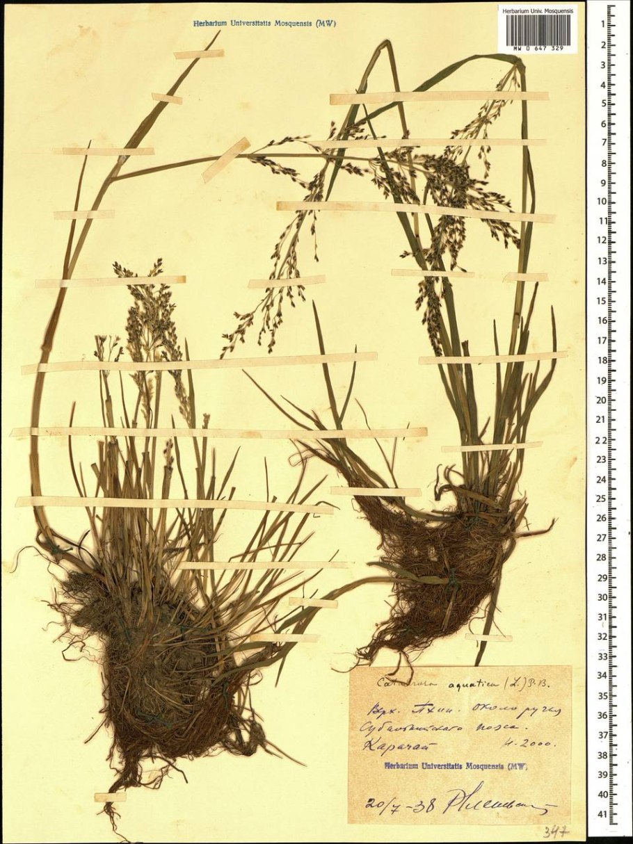 PV контроллер заряда ls1024rp