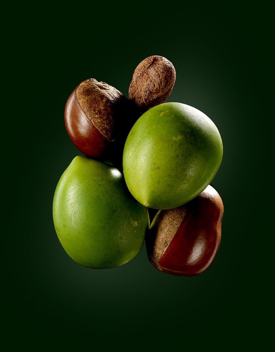Butyrospermum Parkii Shea Butter