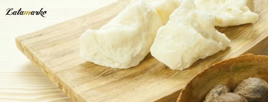 Вителлария удивительная