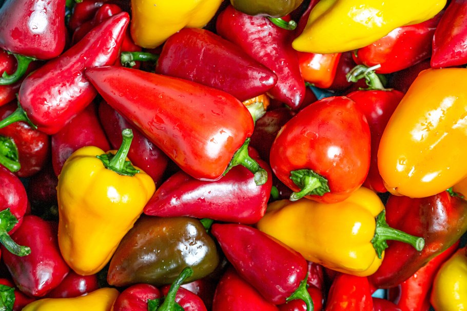 Сладкий болгарский перец