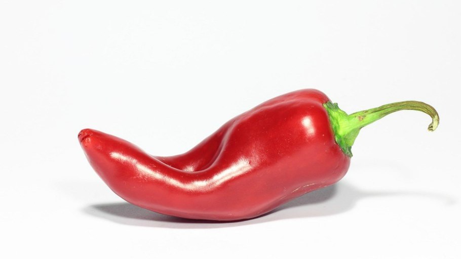 Острый перец Чили